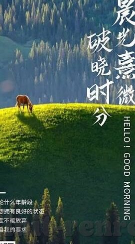 新浪比分足球-新浪比分足球，数字背后的绿茵激情与深度洞察